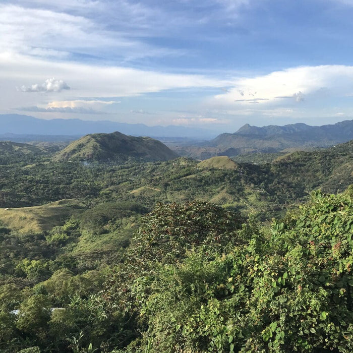 La Indonesia Colombia Washed